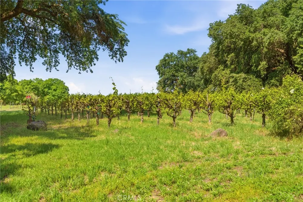 9345 Stanford Lane Durham, CA 95938