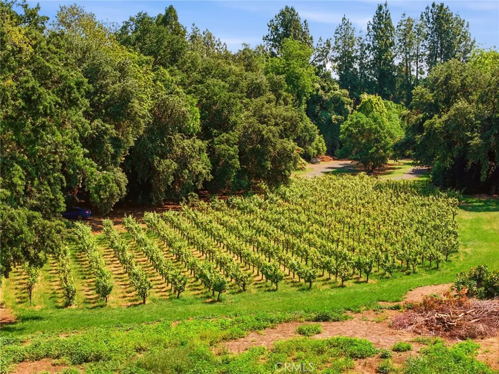 9345 Stanford Lane Durham, CA 95938