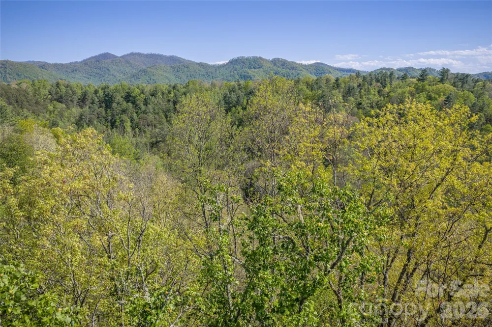 44 Marshbanks Ridge Weaverville, NC 28787