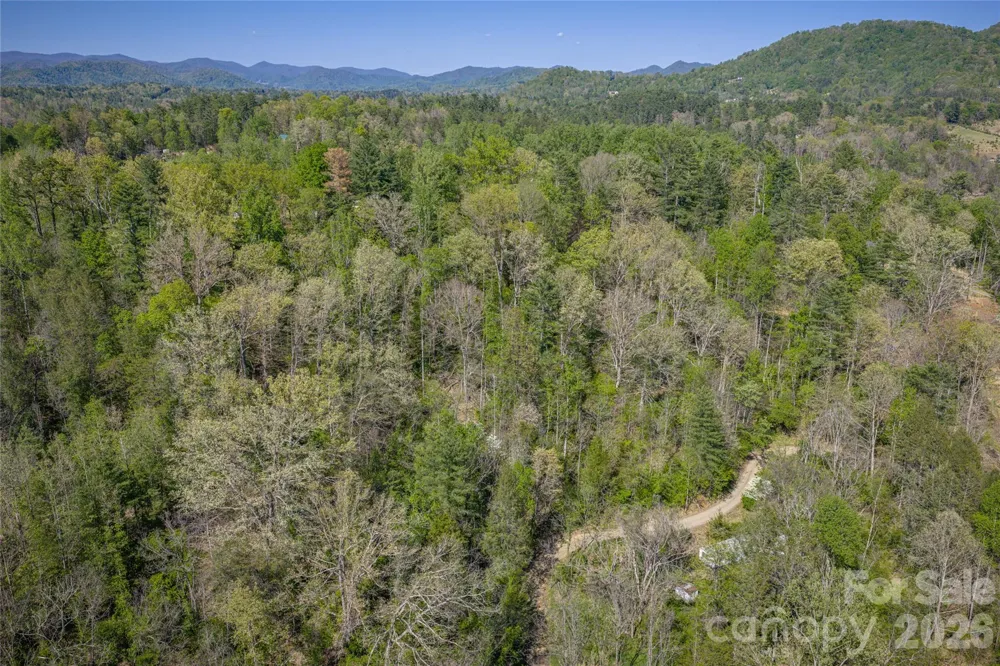 44 Marshbanks Ridge Weaverville, NC 28787