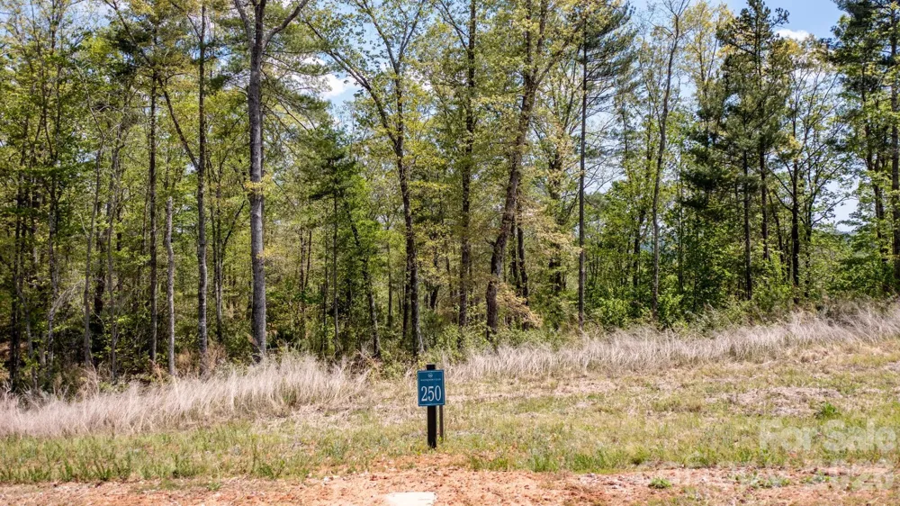 00 Scenic Lane #250 Granite Falls, NC 28630