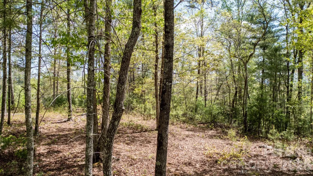 00 Scenic Lane #250 Granite Falls, NC 28630