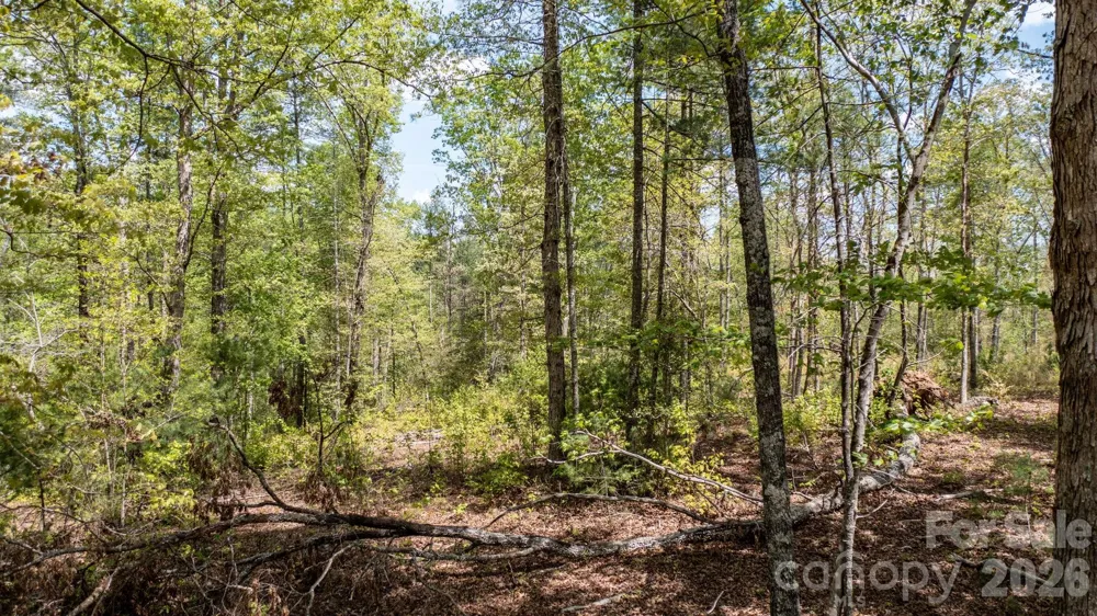 00 Scenic Lane #250 Granite Falls, NC 28630