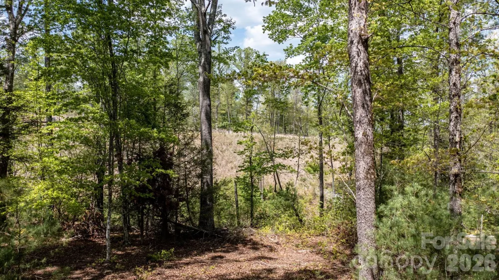 00 Scenic Lane #250 Granite Falls, NC 28630