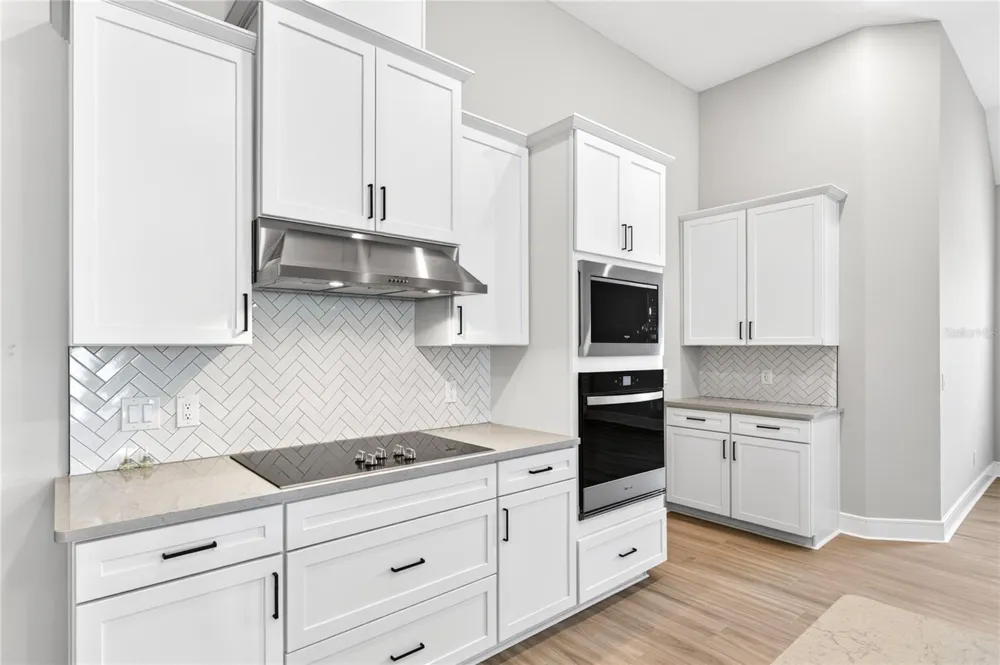 3836 SADDLE HILL TRAIL Fruitland Park, FL 34731
