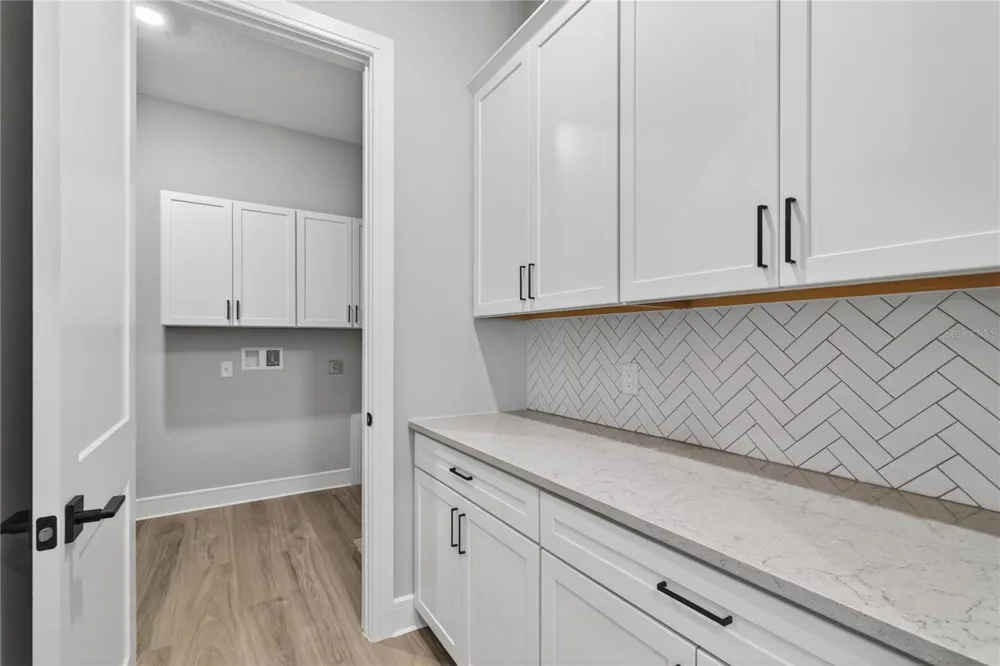 3836 SADDLE HILL TRAIL Fruitland Park, FL 34731