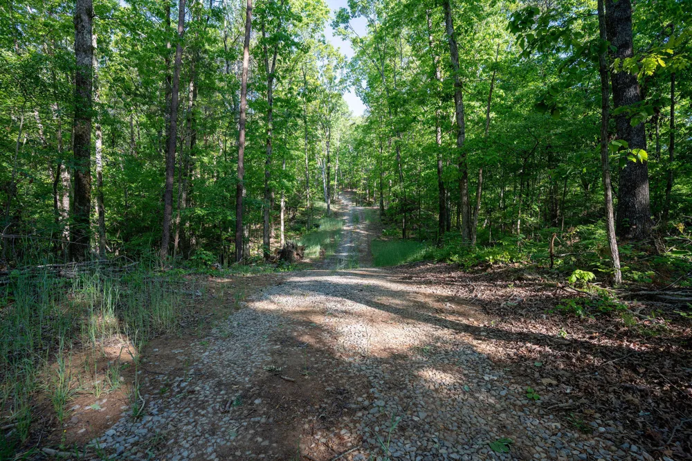1140 County Road 797 Valley Head, AL 35989
