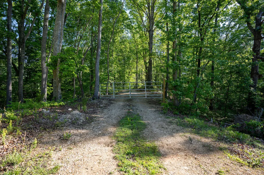 1140 County Road 797 Valley Head, AL 35989