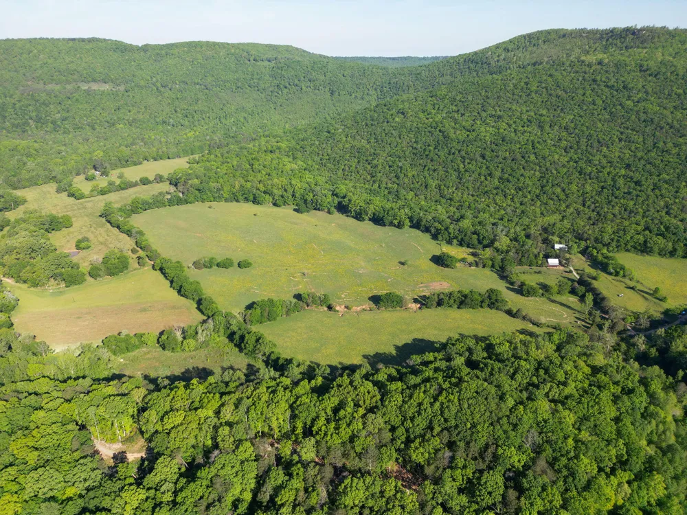 1140 County Road 797 Valley Head, AL 35989