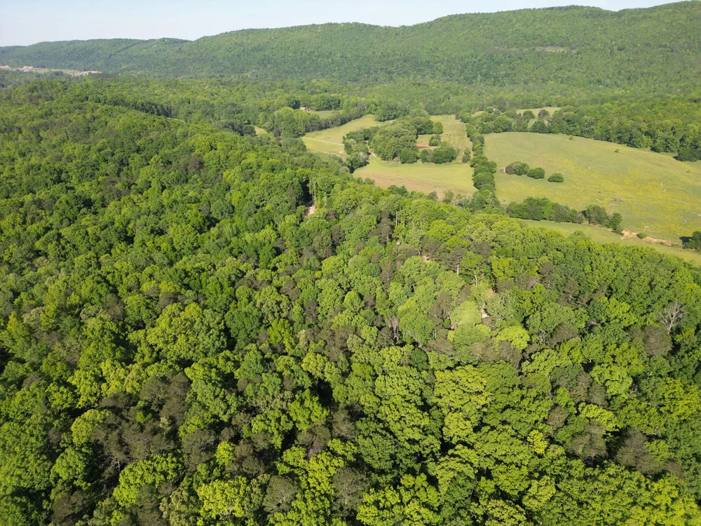 1140 County Road 797 Valley Head, AL 35989