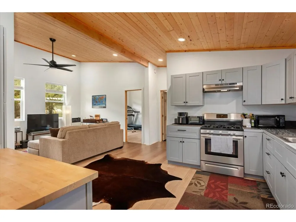 3538 Camino Del Rey Crestone, CO 81131