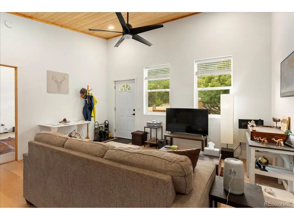 3538 Camino Del Rey Crestone, CO 81131
