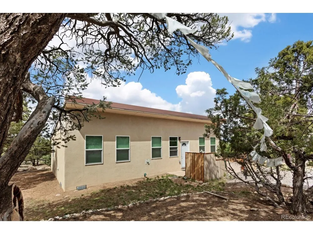 3538 Camino Del Rey Crestone, CO 81131