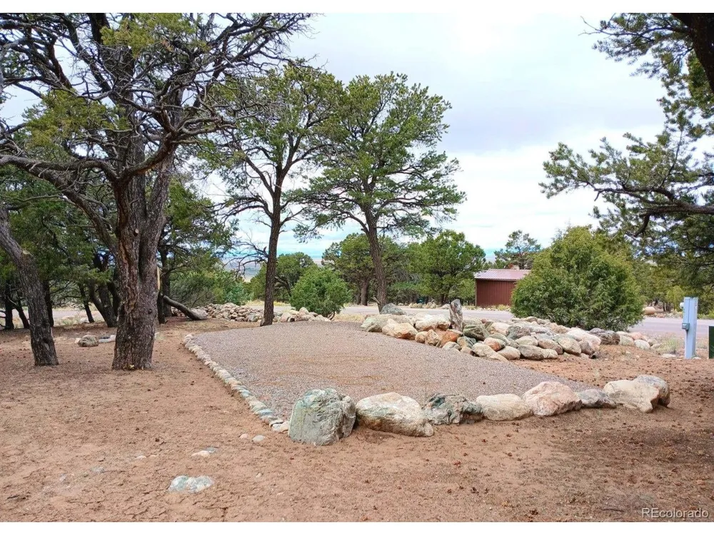 3538 Camino Del Rey Crestone, CO 81131