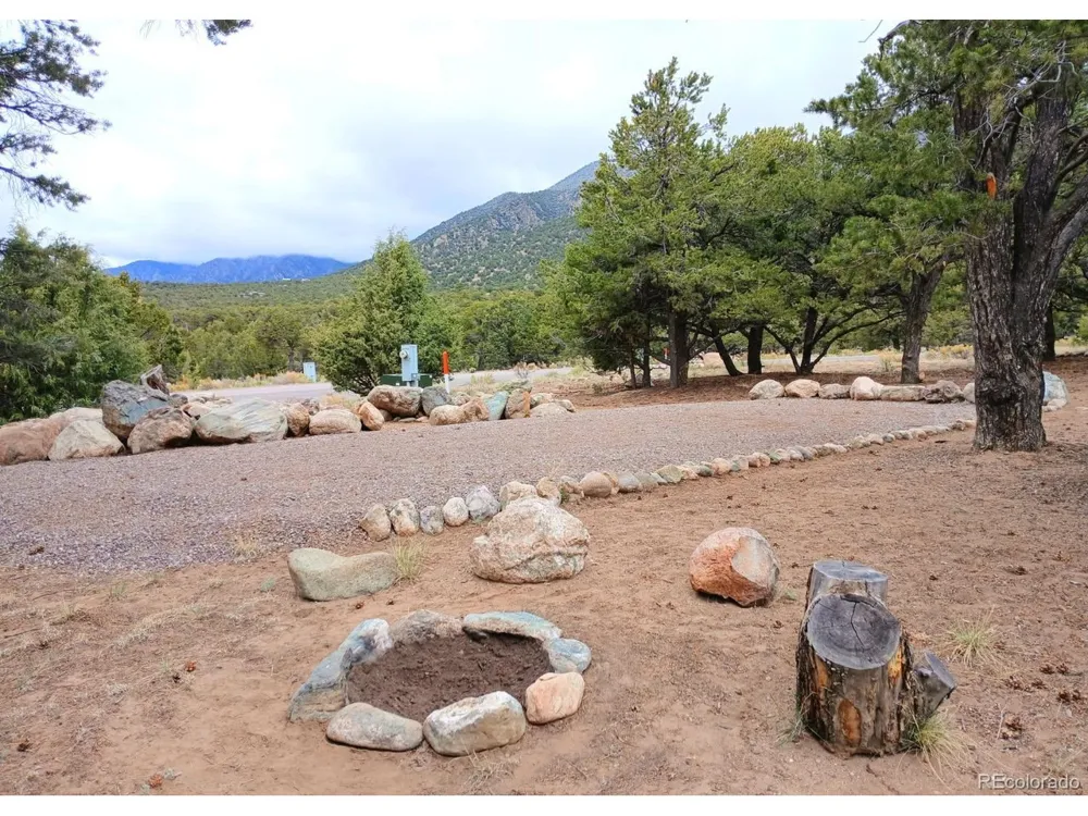 3538 Camino Del Rey Crestone, CO 81131