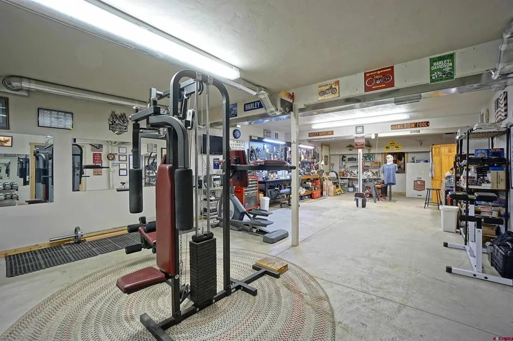 221 Waterview Lane Ridgway, CO 81432