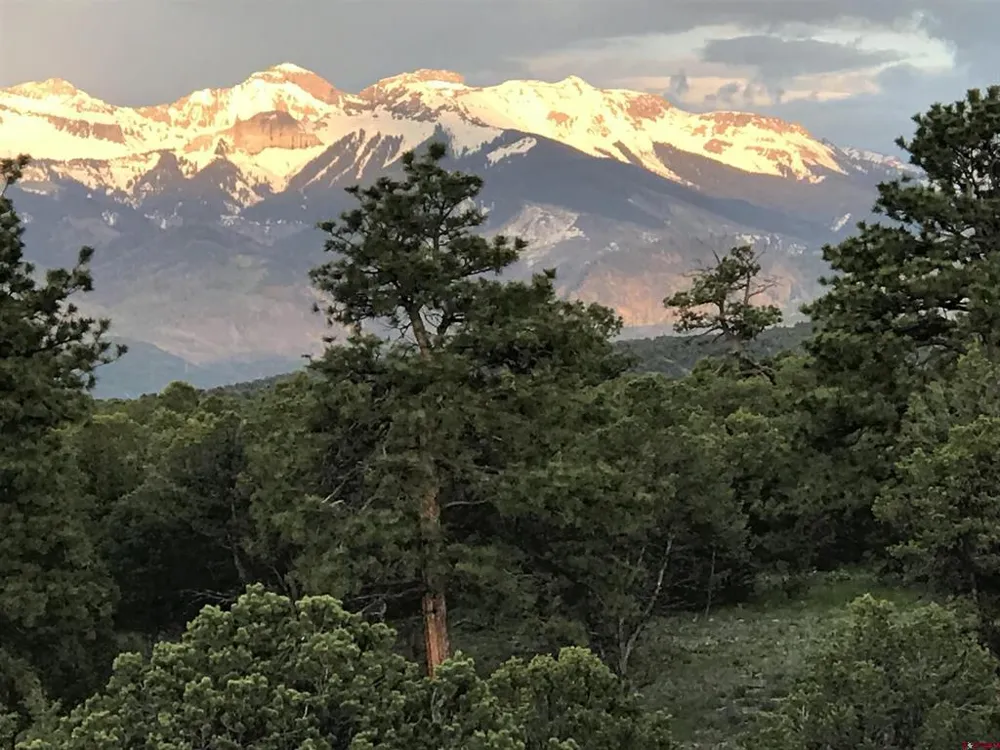 221 Waterview Lane Ridgway, CO 81432