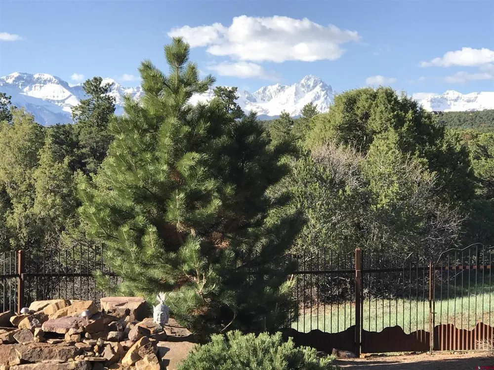 221 Waterview Lane Ridgway, CO 81432