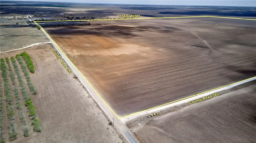 109 County Road 385 George West, TX 78022