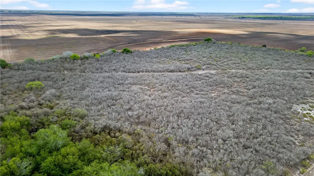 109 County Road 385 George West, TX 78022