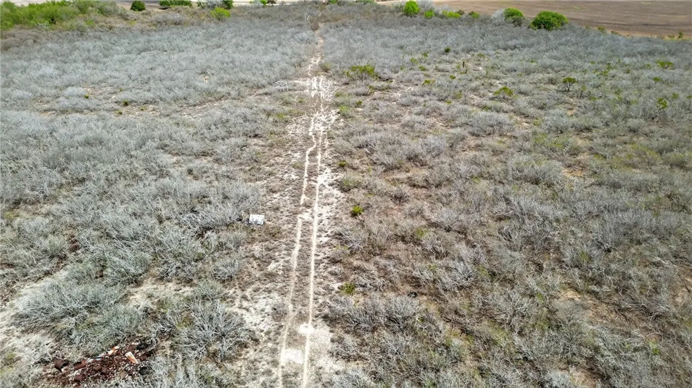 109 County Road 385 George West, TX 78022