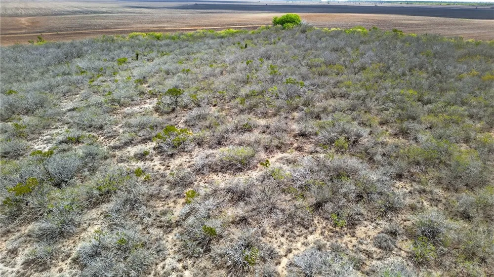 109 County Road 385 George West, TX 78022