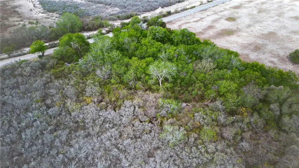 109 County Road 385 George West, TX 78022