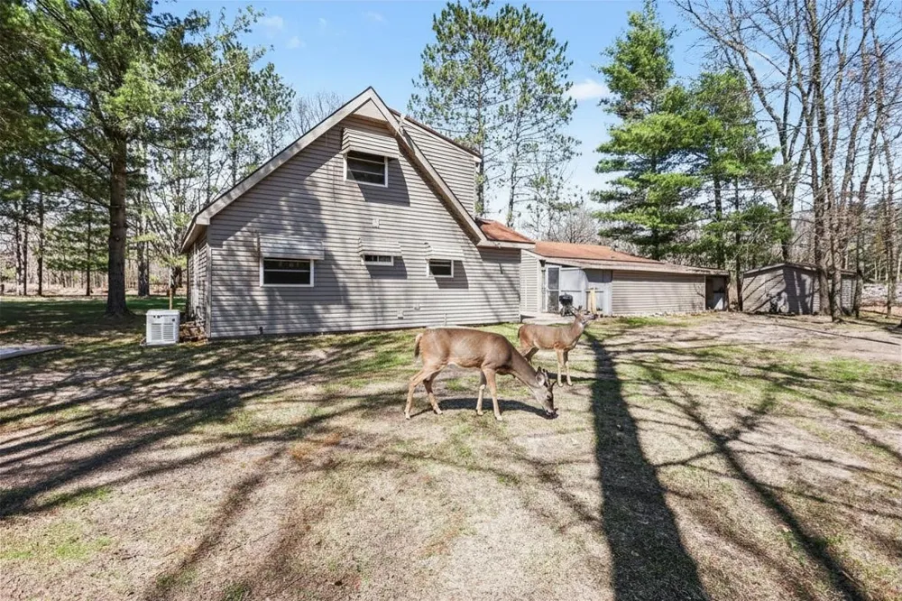 491 Big Stone Lake Orient Township, MI 48632
