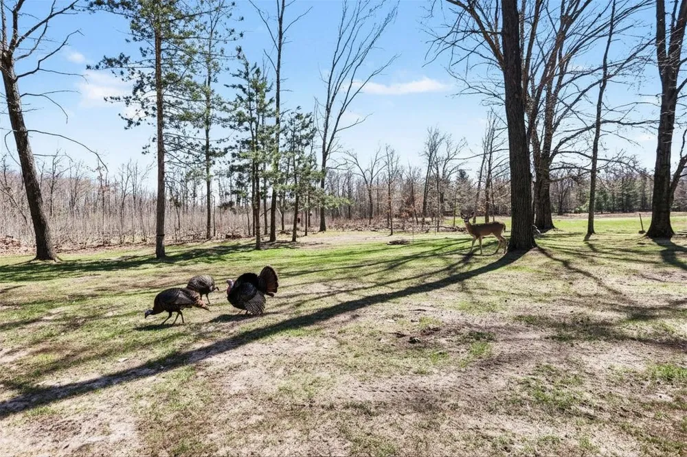 491 Big Stone Lake Orient Township, MI 48632