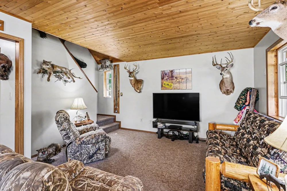 491 Big Stone Lake Orient Township, MI 48632