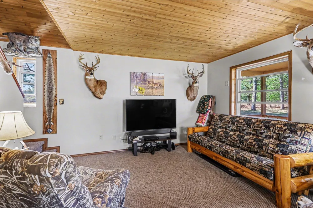 491 Big Stone Lake Orient Township, MI 48632