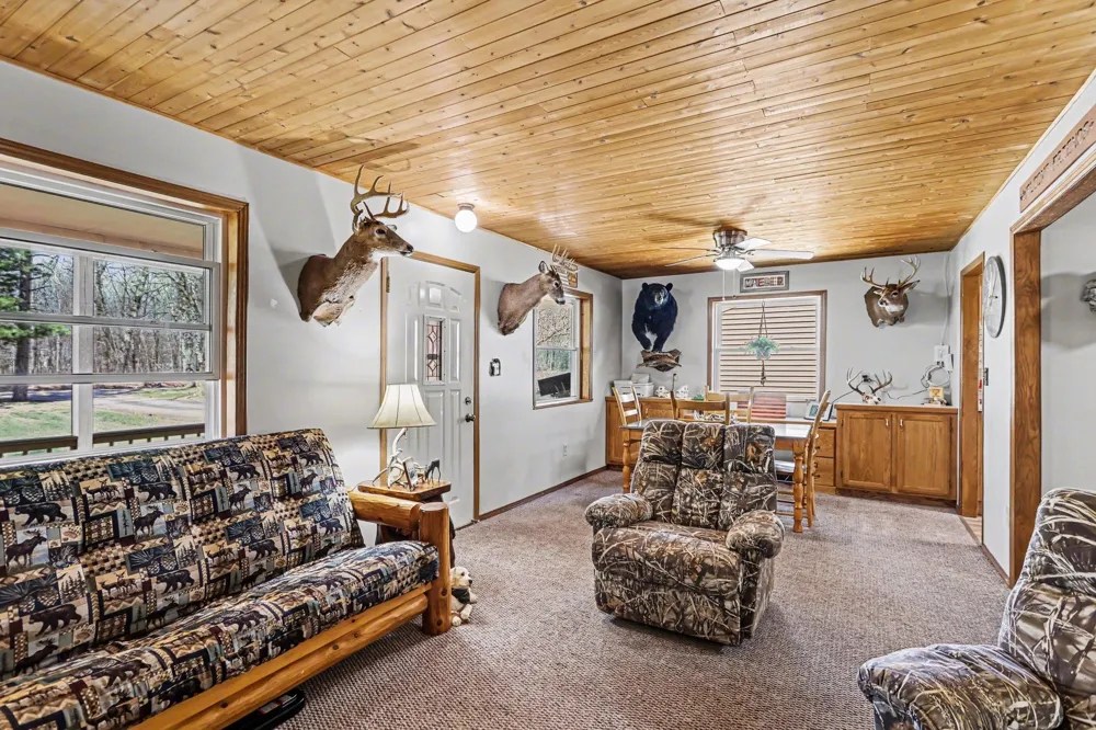 491 Big Stone Lake Orient Township, MI 48632