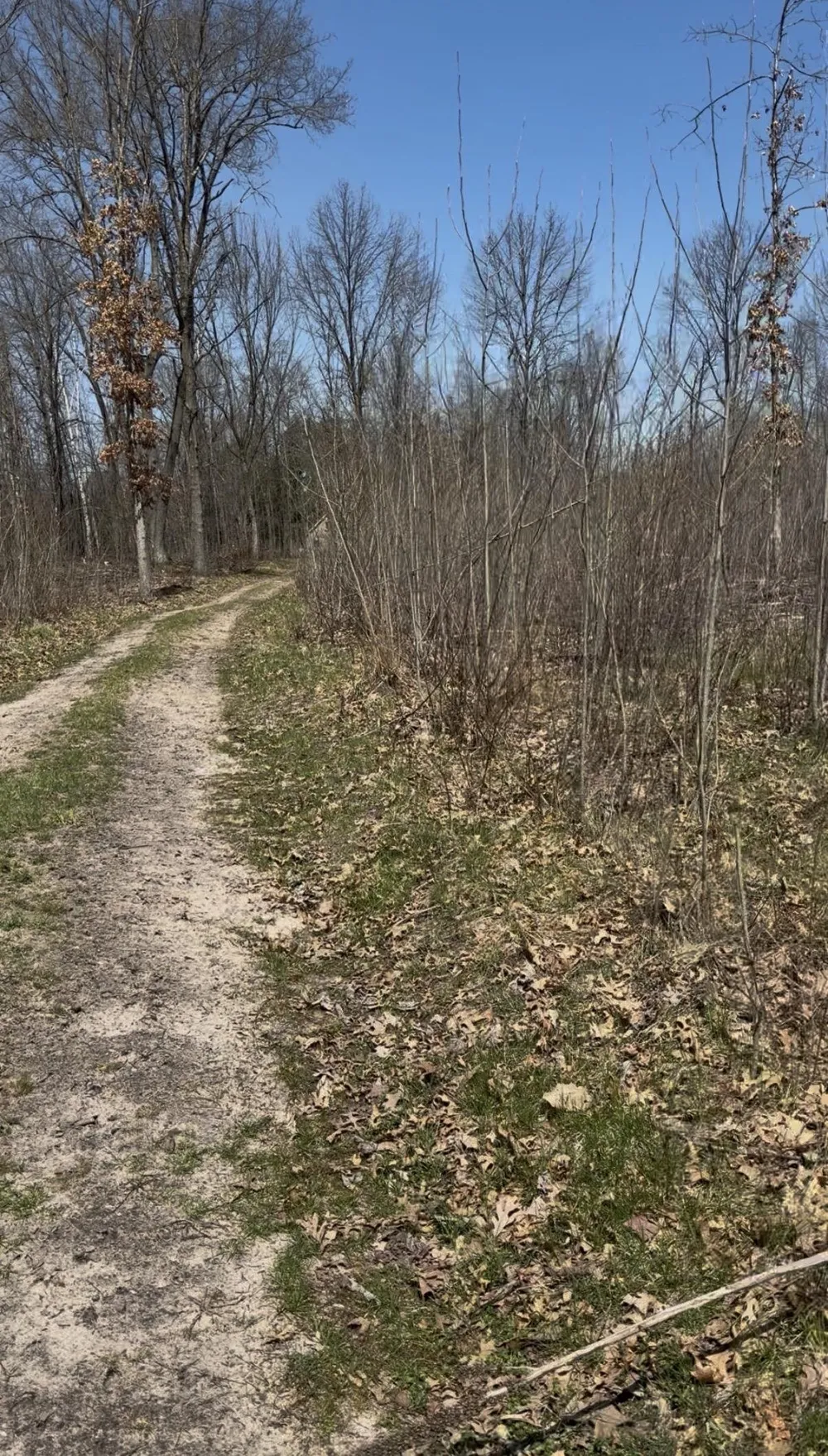 491 Big Stone Lake Orient Township, MI 48632