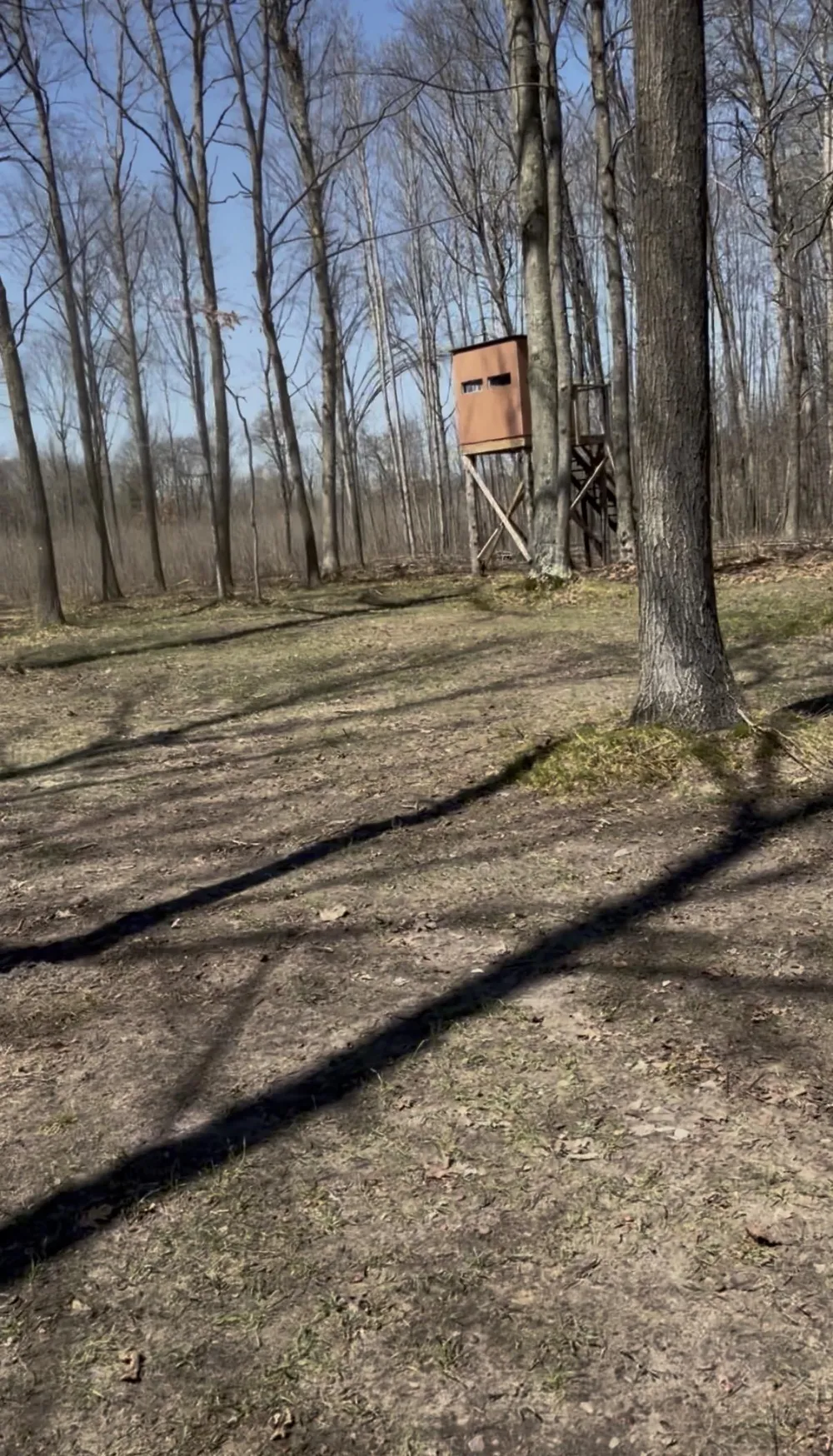 491 Big Stone Lake Orient Township, MI 48632