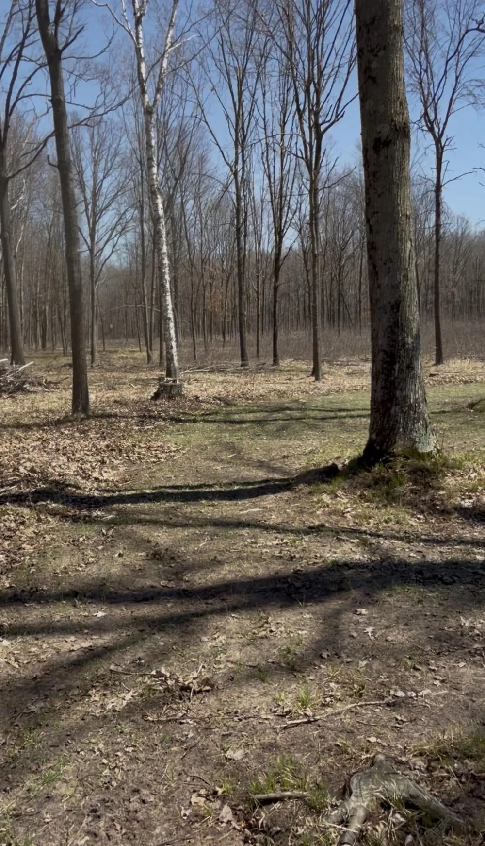 491 Big Stone Lake Orient Township, MI 48632