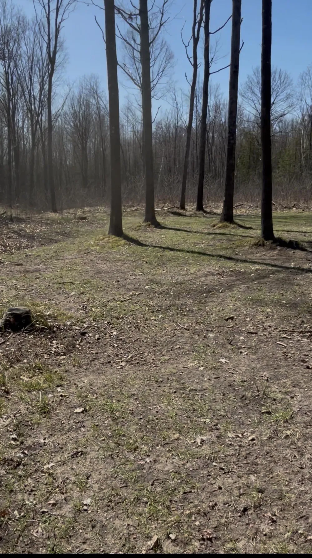 491 Big Stone Lake Orient Township, MI 48632