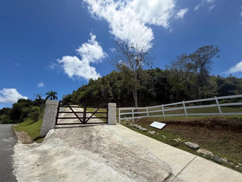 LOMA DEL VIENTO BO. MASAS Gurabo, PR 00778
