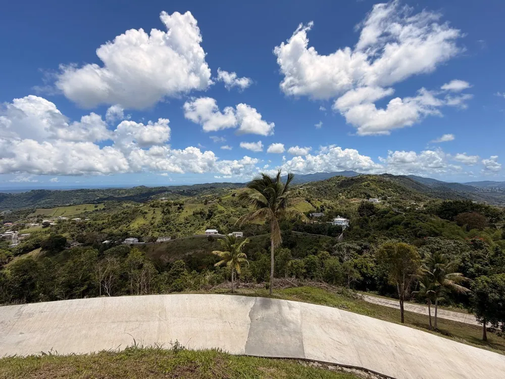 LOMA DEL VIENTO BO. MASAS Gurabo, PR 00778