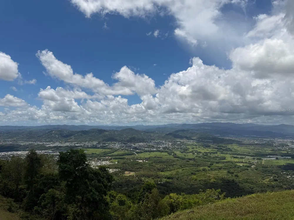 LOMA DEL VIENTO BO. MASAS Gurabo, PR 00778