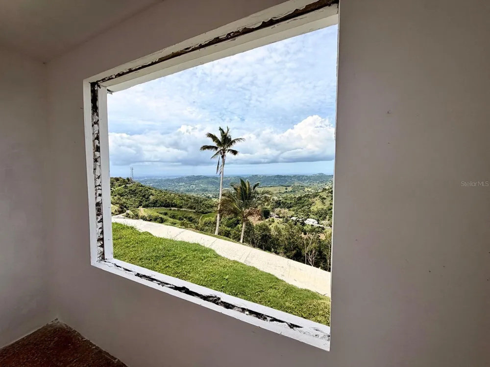 LOMA DEL VIENTO BO. MASAS Gurabo, PR 00778