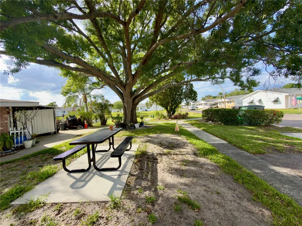 9805 LILY STREET #9805 Pinellas Park, FL 33782
