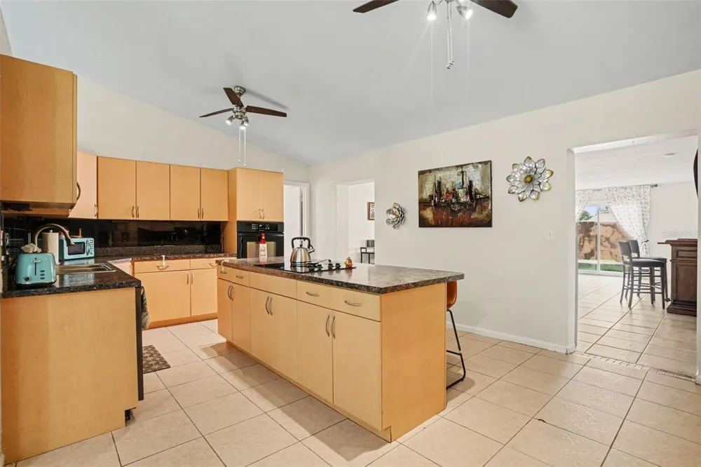 4105 SPRING WAY CIRCLE Valrico, FL 33596