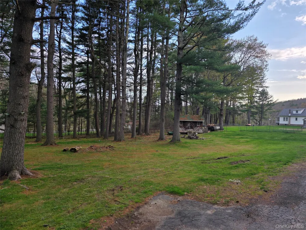14 Andrew Paye Road Glen Spey, NY 12770