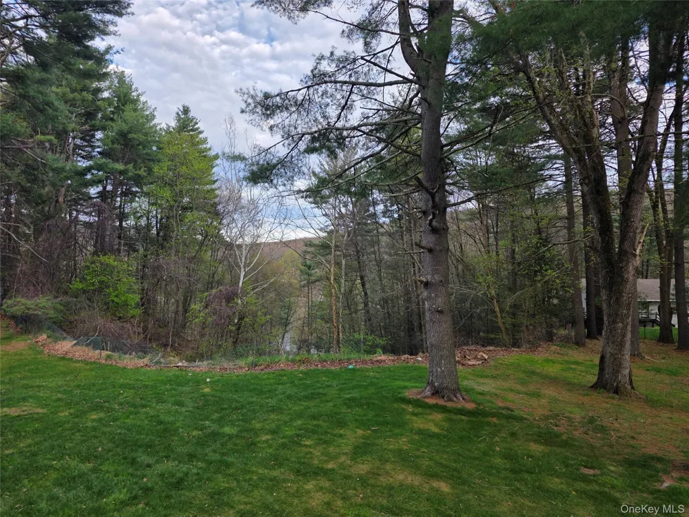 14 Andrew Paye Road Glen Spey, NY 12770