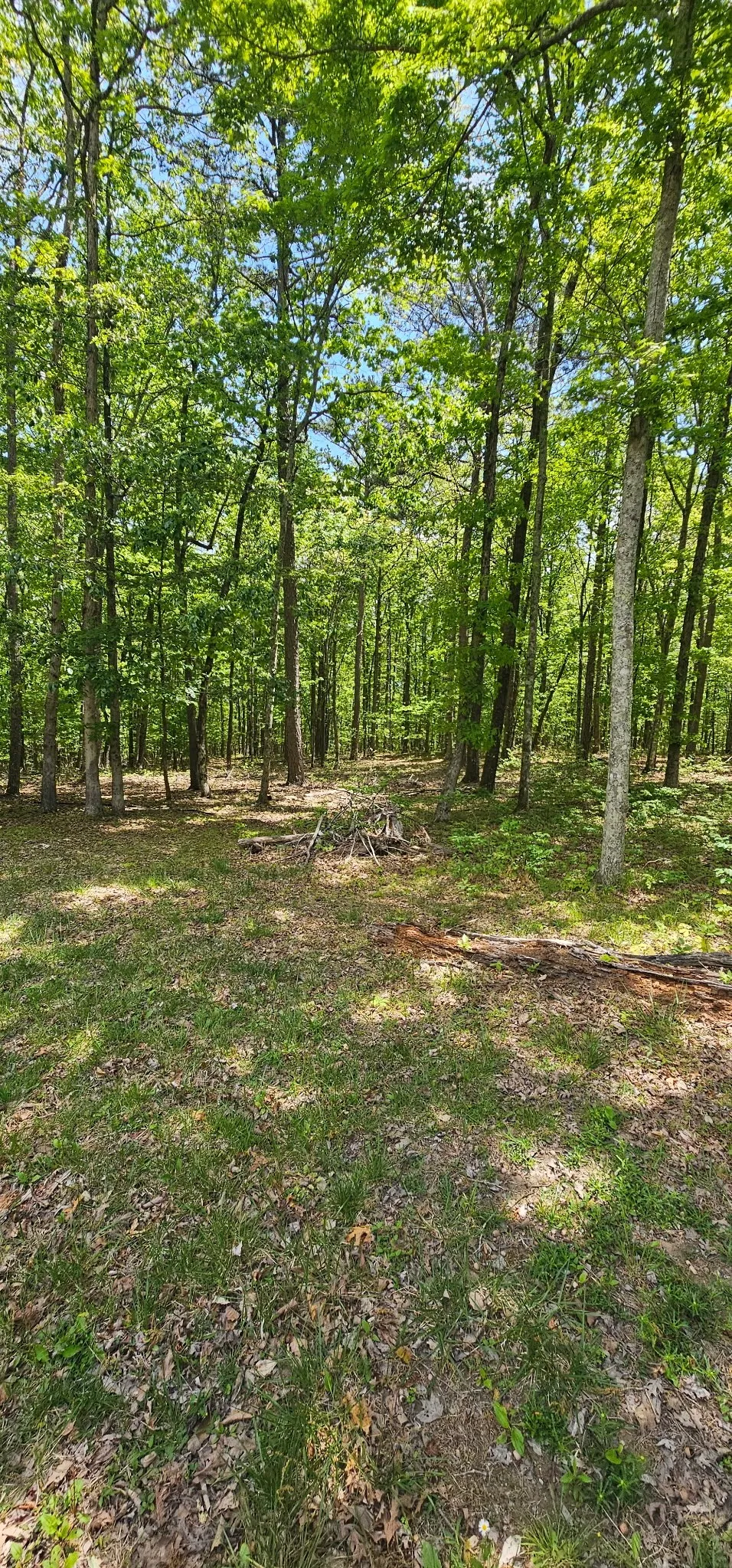 0 Twilight Trl Dunlap, TN 37327