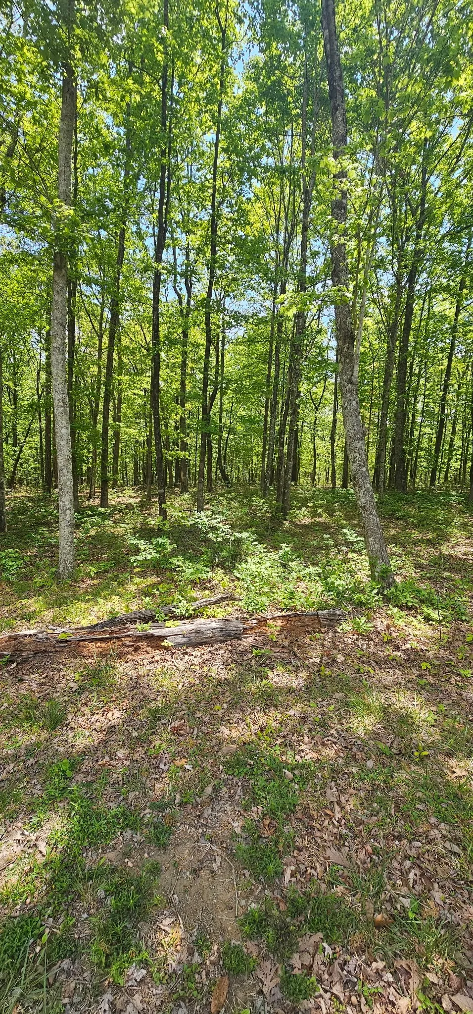 0 Twilight Trl Dunlap, TN 37327