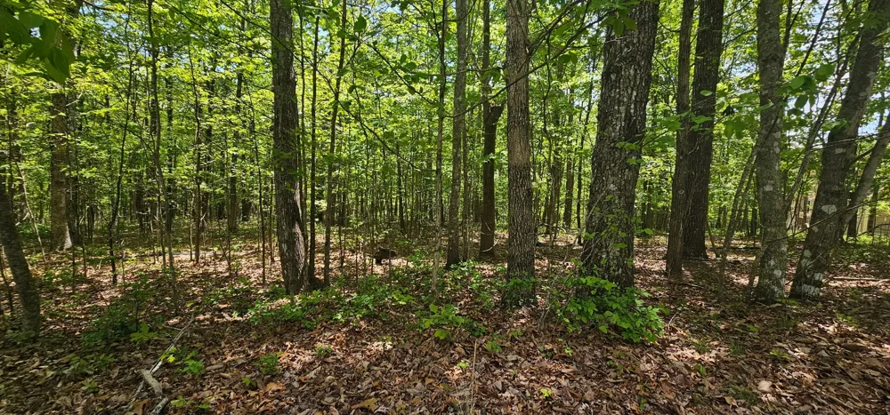 0 Twilight Trl Dunlap, TN 37327