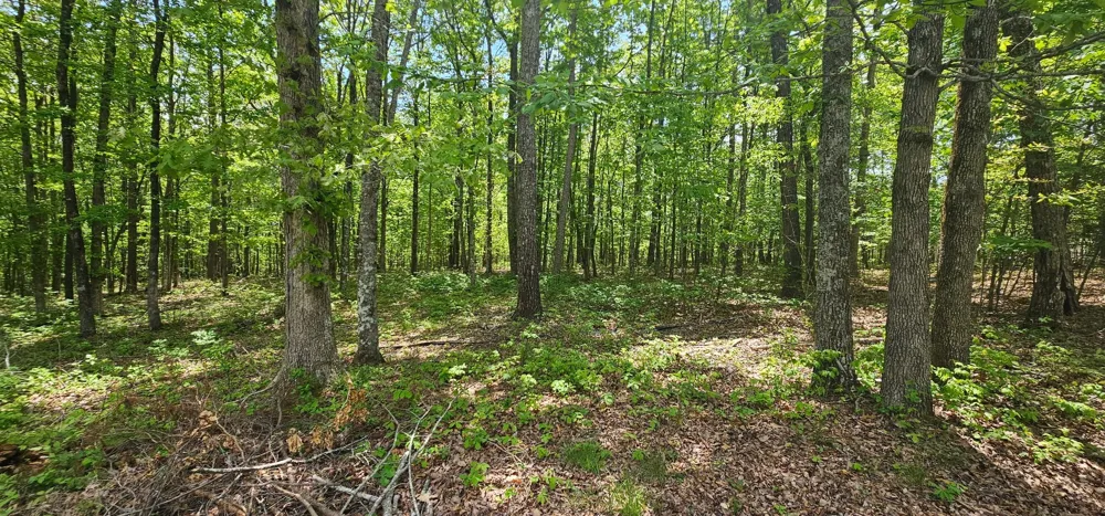 0 Twilight Trl Dunlap, TN 37327