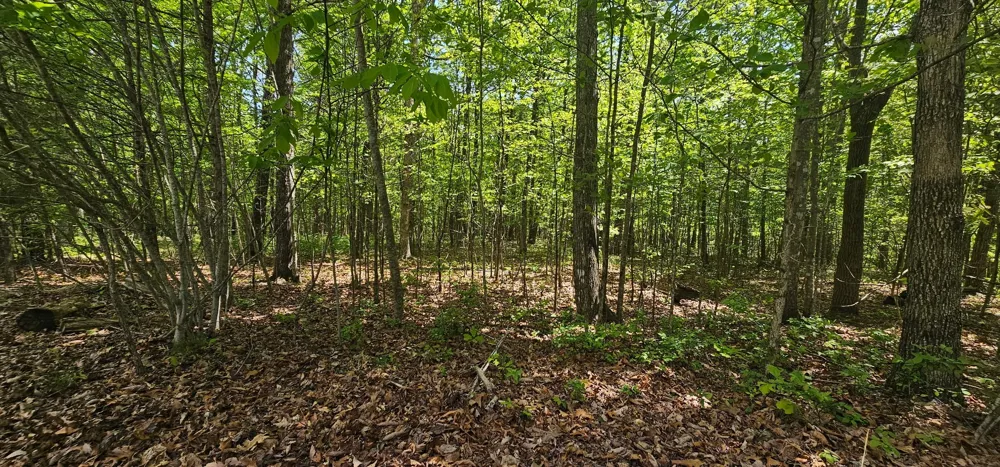 0 Twilight Trl Dunlap, TN 37327