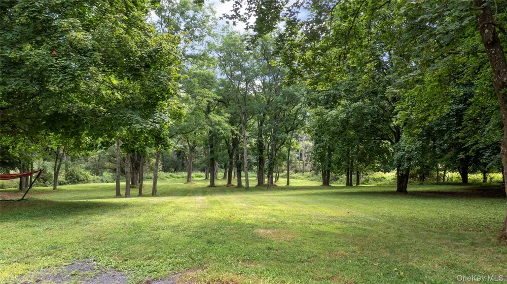 36 Market Lane Clinton Corners, NY 12514